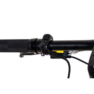 28 Zoll E-Bike City CHRISSON eOCTANT mit Kettenantrieb und Vorbau-Display schwarz matt